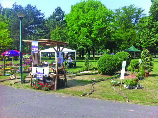 skopski cveten festival (9)