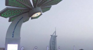 Дубаи ќе инсталира цела „шума“ од „паметни палми“