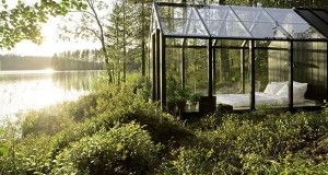 Градина и куќа за живеење во шумски предел