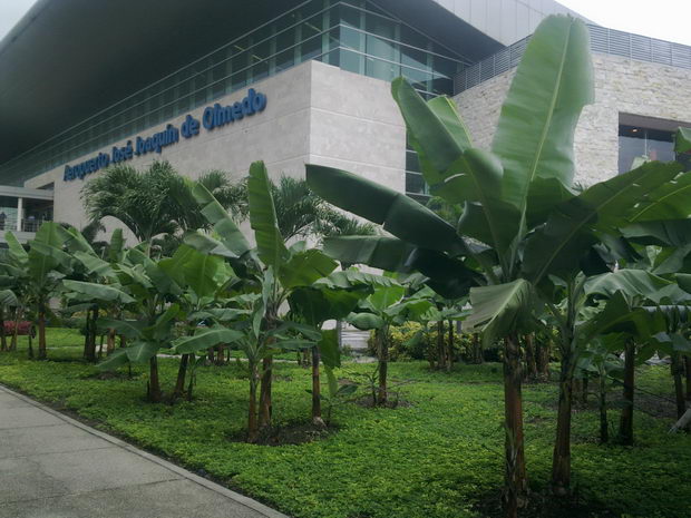banani (2)