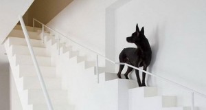 Куќа со посебни скали за домашни миленици