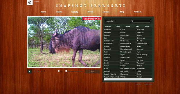 FOTKI OD SERENGETI 2