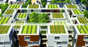 Вегетацијата како баланс во урбаните средини