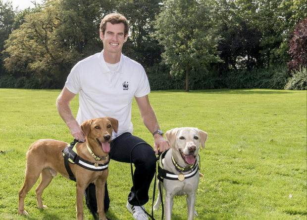 Andy.Murray.006-1