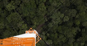 Kлиматска кула во Амазонија – највисока градба во Јужна Америка