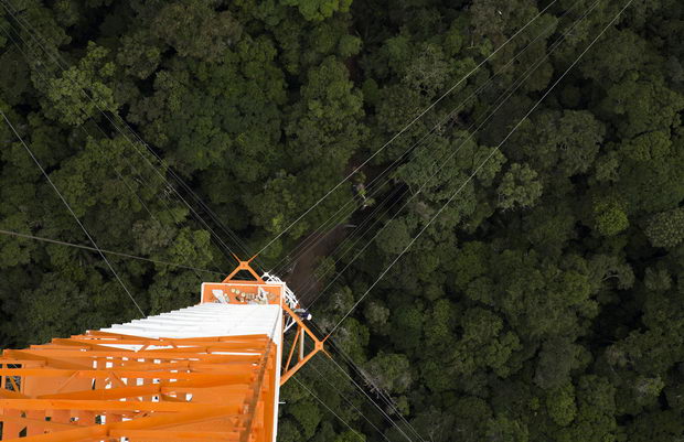 Kula vo Amazonija ATTO2