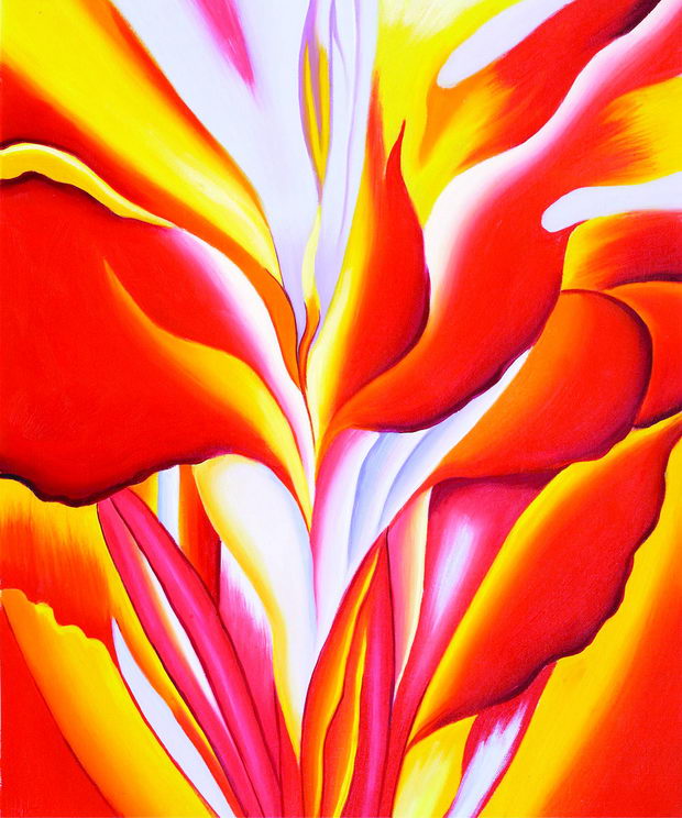 Red Canna Bloom