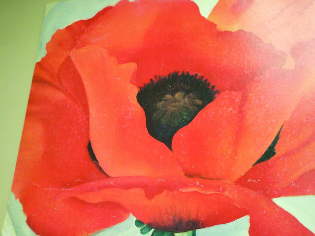 dscf4384okeeffee-poppy