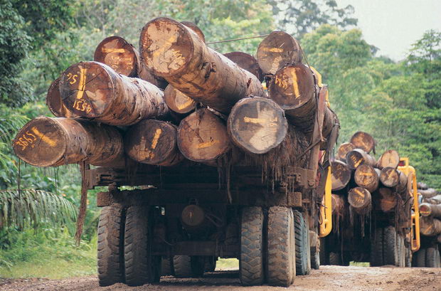 brazil transport na iseceni drva