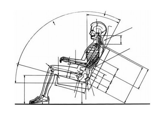 seated-50th-percentile-male