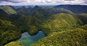 Нов национален парк во Перу, во срцето на Амазонија