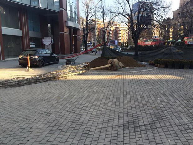 Nov plostad - Centar (3)
