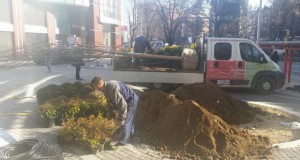 Плоштад и зеленило на „Наум Наумовски – Борче“