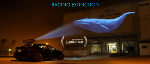 Автомобилот „Тесла С“ со анимал принт во филм за поддршка на видовите кои изумираат