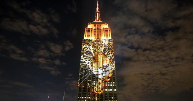 racing-extinction
