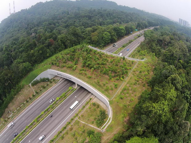 Ekomost vo Singapur
