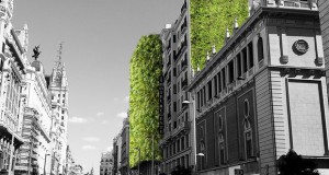 Мадрид со озеленување против високите температури и загадувањето
