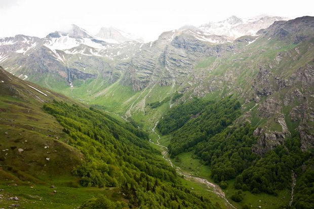 korab