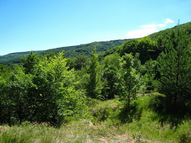osogovski planini