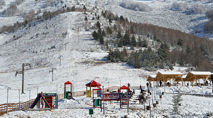 сапунџица