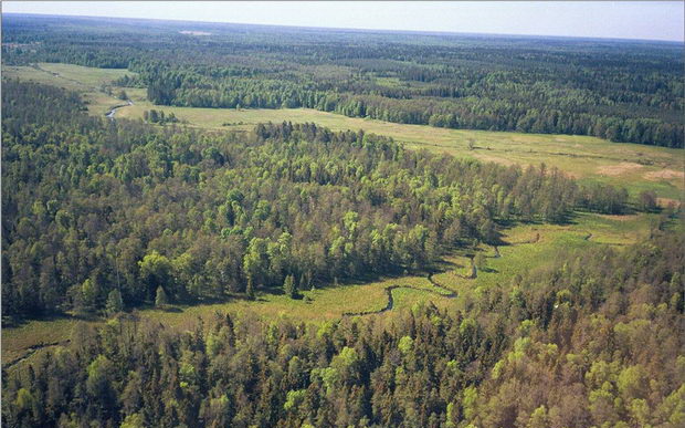 Beloveskaja suma