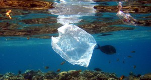 Пронајдено решение за пластичниот отпад?!