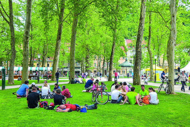 eko ljubljana (5)
