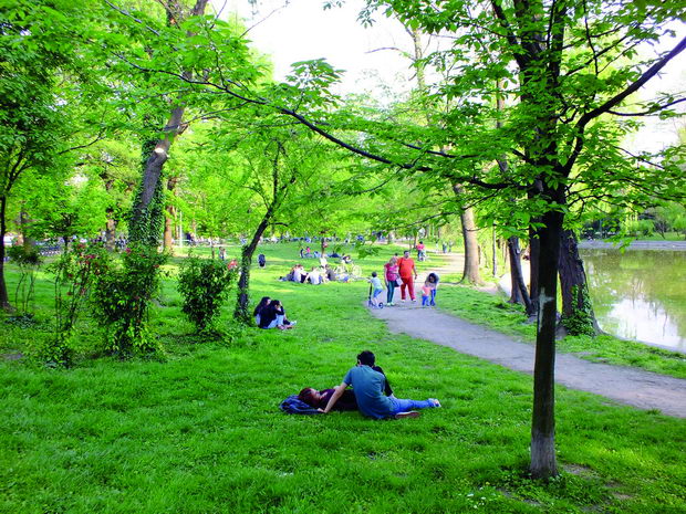 pridobivki od zelenilo (7)