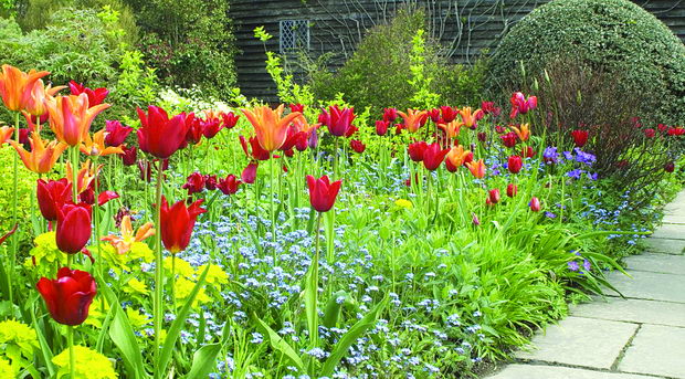hortikultura_1