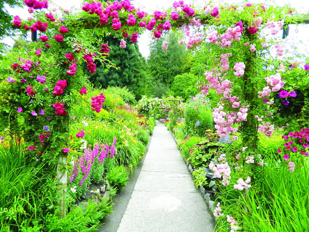 hortikultura_2