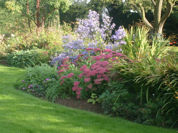 hortikultura_4