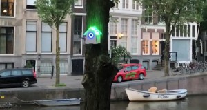 Паметни куќички за птици во Амстердам – бесплатен Интернет само кога воздухот е чист