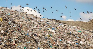 Кинези ќе градат електрана на отпад во Панчево