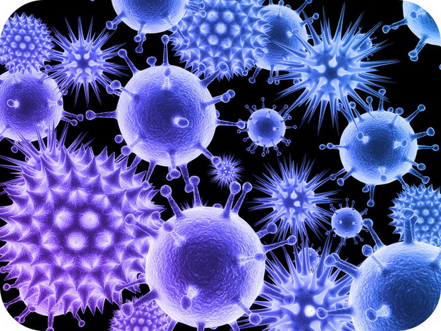 virus