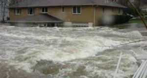 Штетите од поплавите се пријавуваат и во осигурителните компании