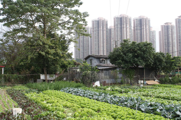 hands-on-urbanism-elke