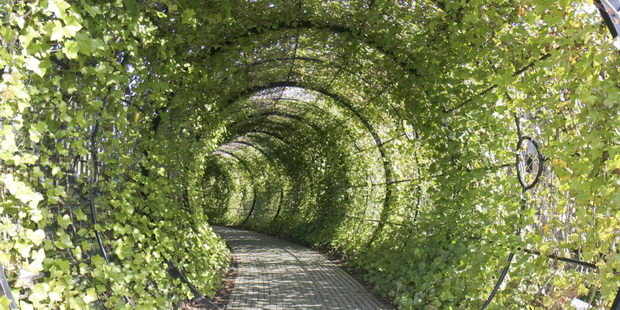 England, The Alnwick Garden, The Poison Garden, Tunnel
