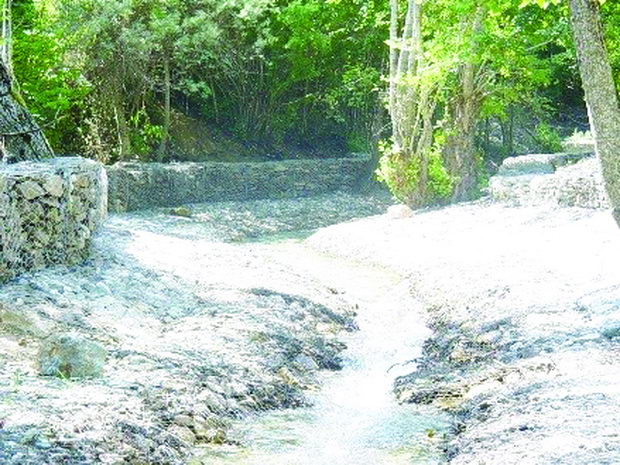 studenica-slika3