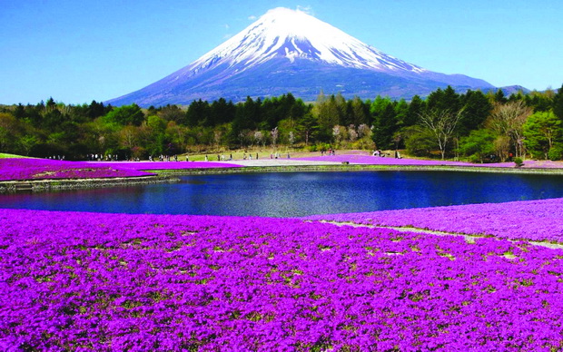 fuji-mountain-top-20-mount