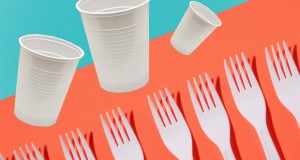 Франција забрани употреба на пластични чаши и чинии