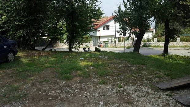 zelenilo-pitu-guli-pred-1