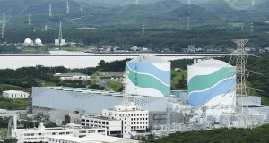 Биомаса од озрачените шуми околу Фукушима?