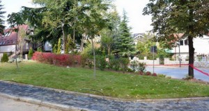 Зимзелени и листопадни растенија, магнолија и грмушки – нов зелен парк на Водно