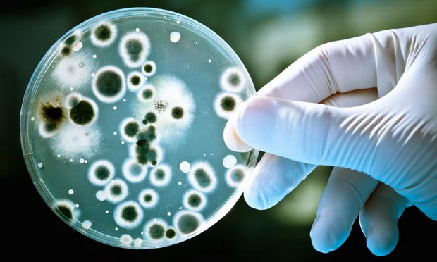 antibiotic
