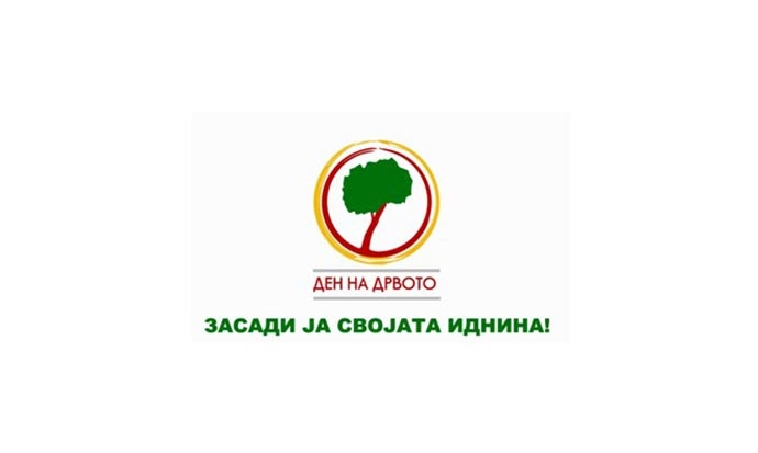 den-na-drvoto