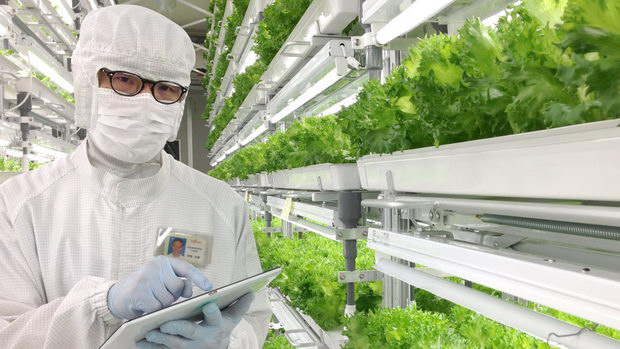 fujitsu-organska-farma