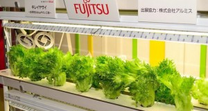 Fujitsu – органска фарма во фабрички погон