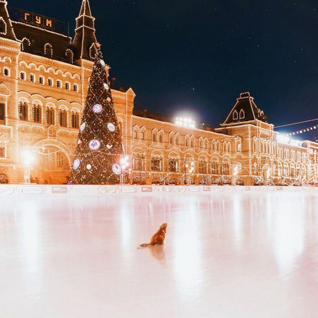 moskva-foto-zima