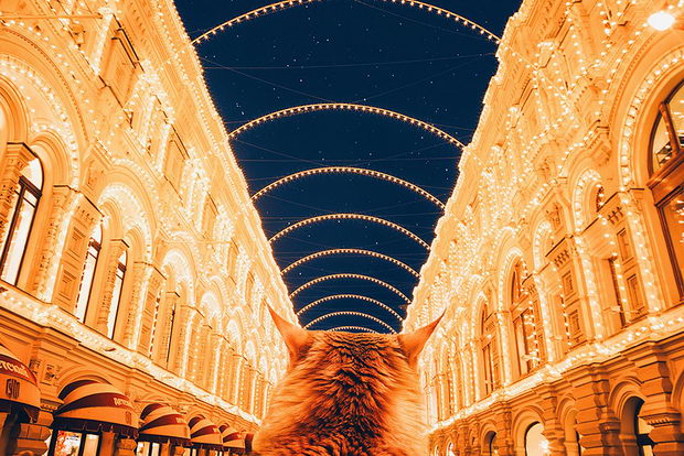 moskva-foto