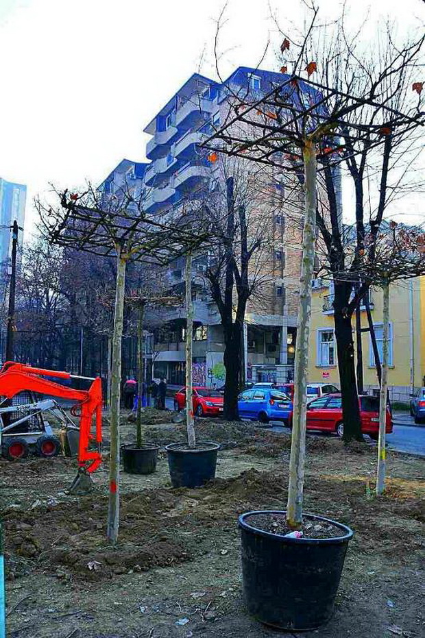 novo-zelenilo-6